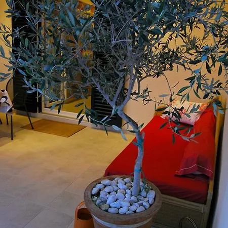 Guest house & Luna 3*